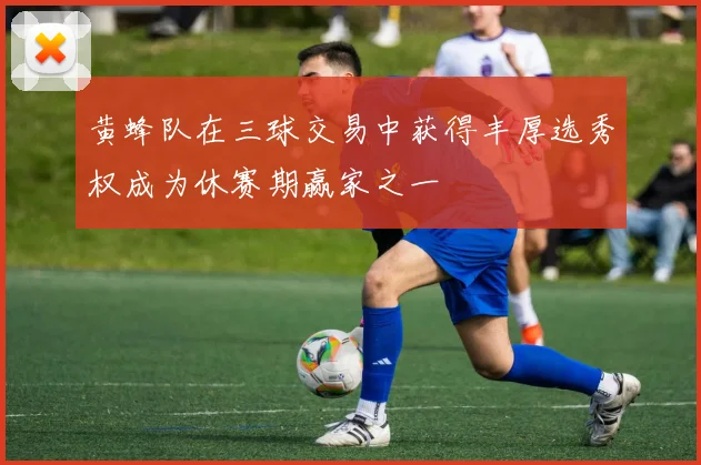 黄蜂队在三球交易中获得丰厚选秀权成为休赛期赢家之一