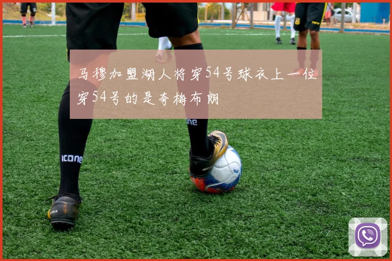 马穆加盟湖人将穿54号球衣上一位穿54号的是夸梅布朗